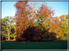 foto Parco Karlsaue in Autunno